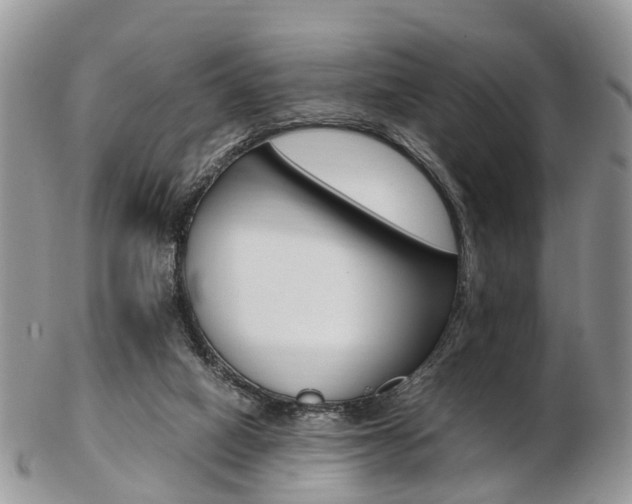 X0000103140066200808221114