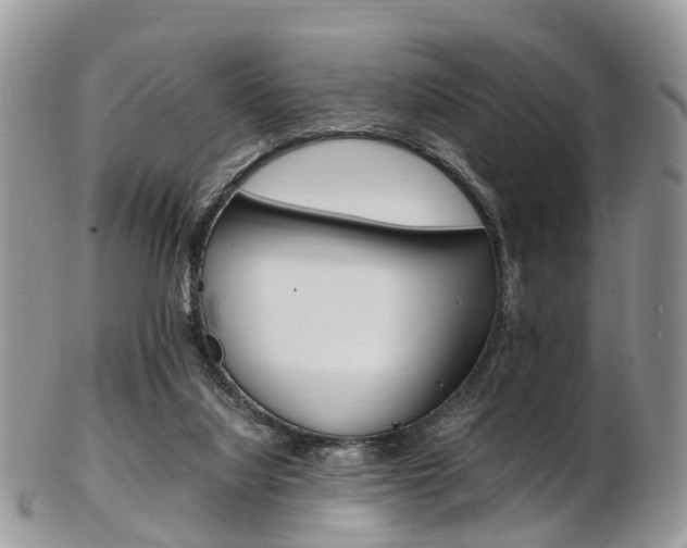 X0000103140068200808221114