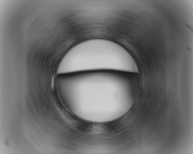 X0000103140070200808221114