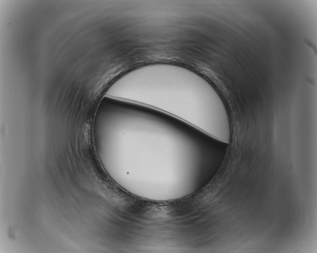 X0000103140071200808221114