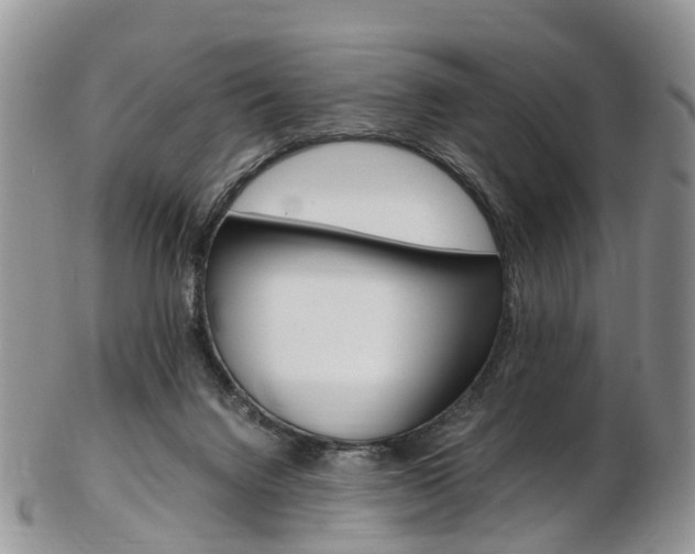 X0000103140072200808221114