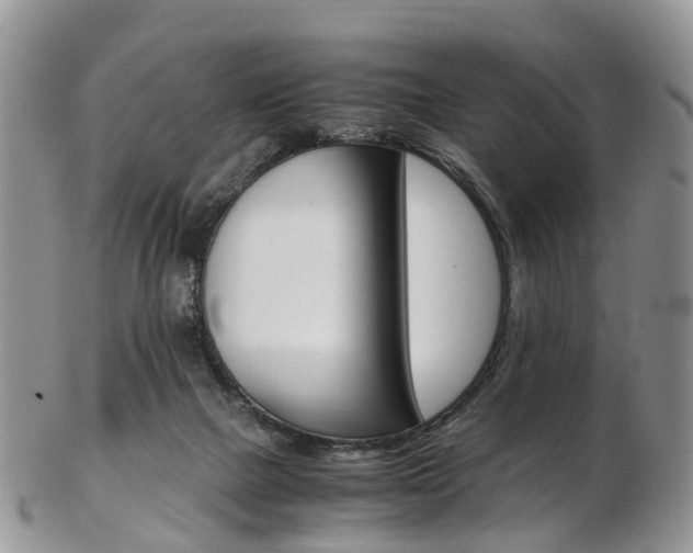 X0000103140073200808221114