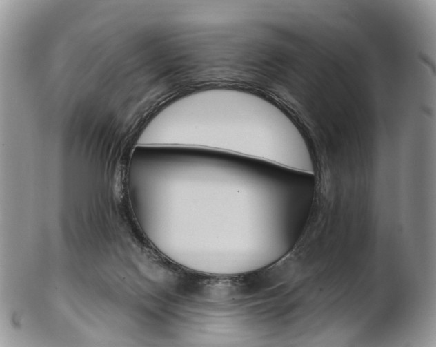 X0000103140074200808221114