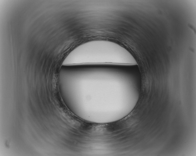 X0000103140078200808221114