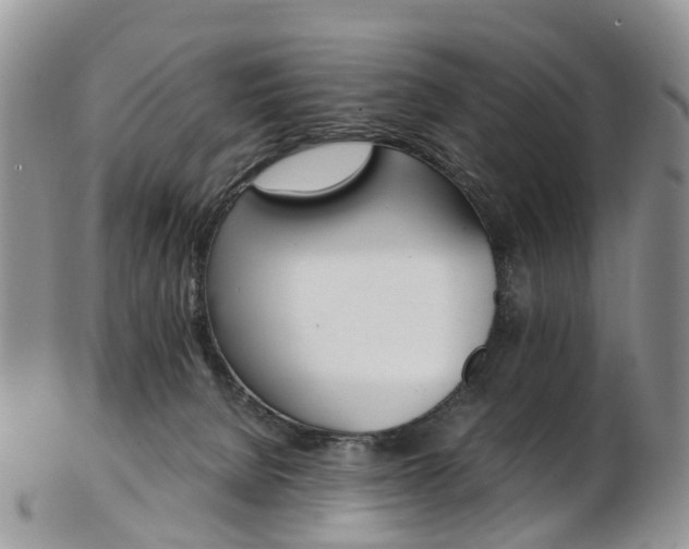 X0000103140080200808221114