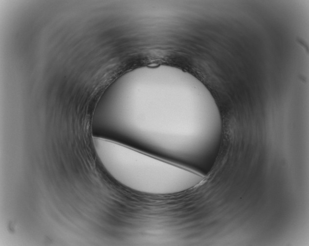 X0000103140082200808221114