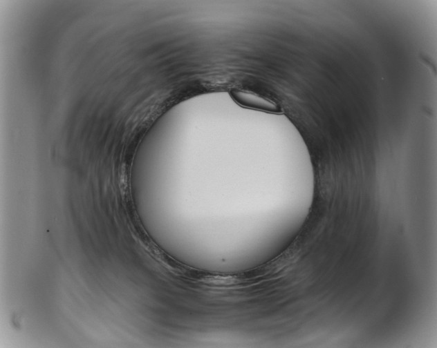 X0000103140085200808221114