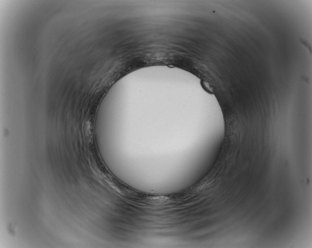 X0000103140087200808221114