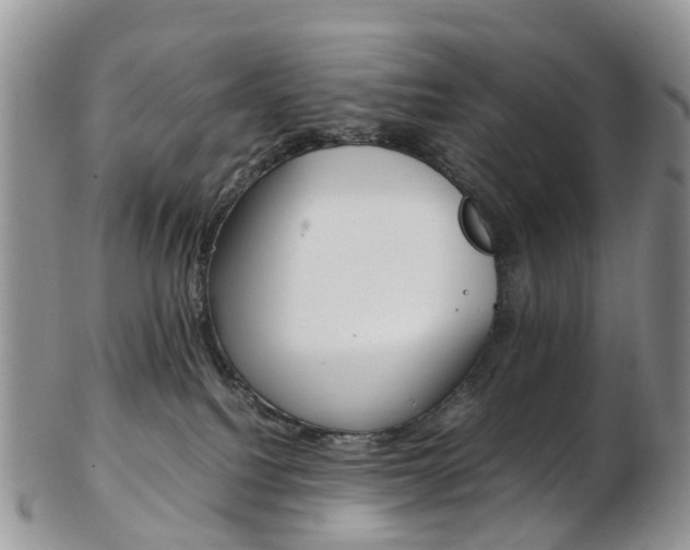 X0000103140088200808221114