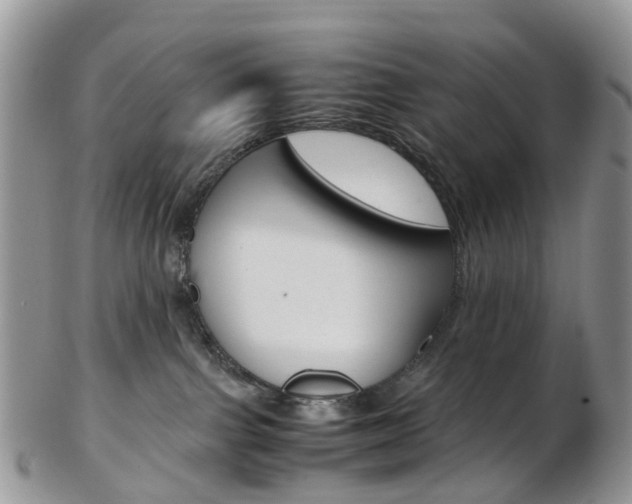 X0000103140091200808221114