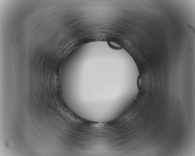 X0000103140092200808221114