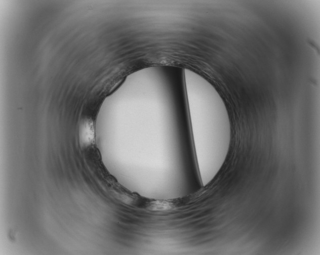 X0000103140095200808221114