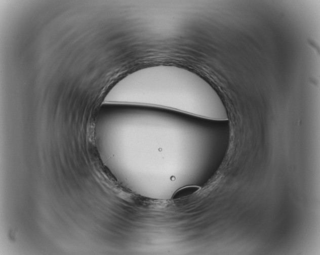 X0000103140096200808221114