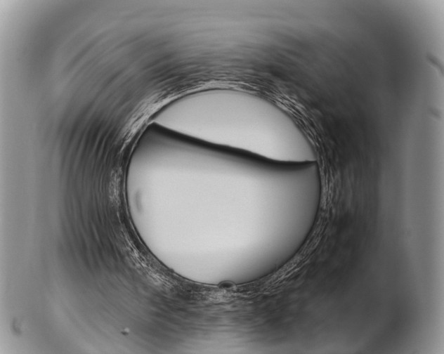 X0000103140098200808221113