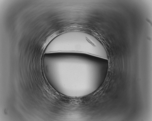 X0000103140099200808221113