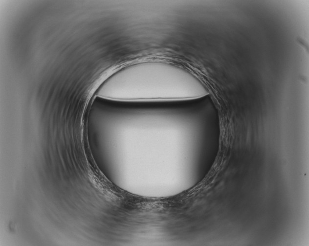 X0000103140100200808221113