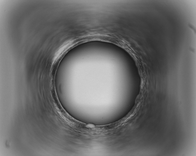 X0000103140101200808221113