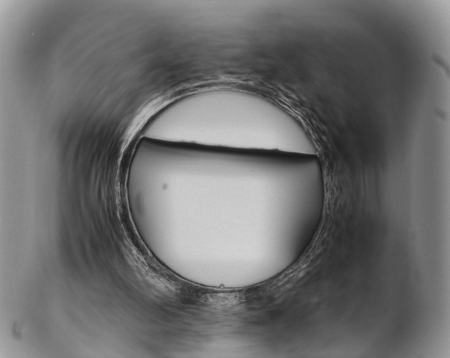 X0000103140102200808221113