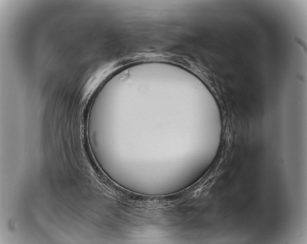 X0000103140103200808221113