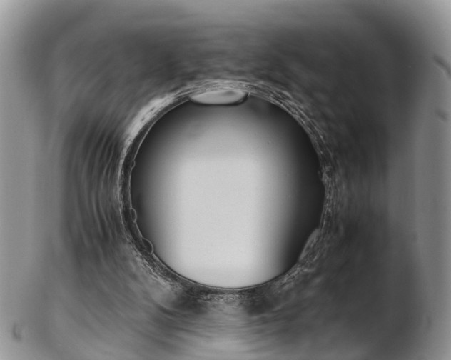 X0000103140104200808221113