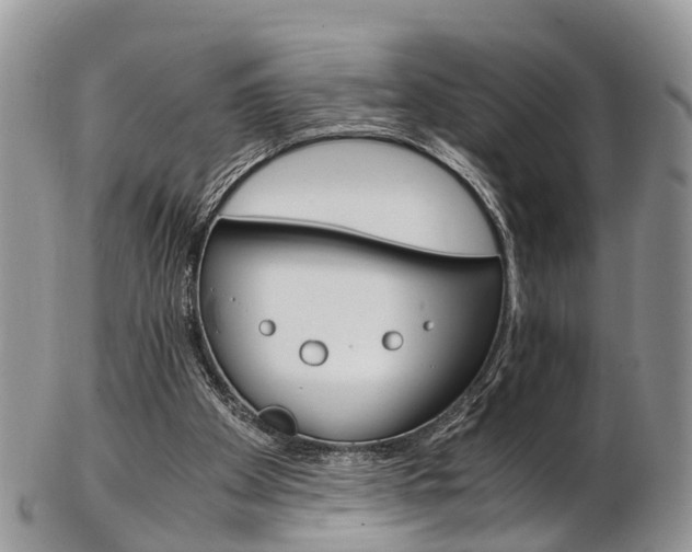 X0000103140105200808221113