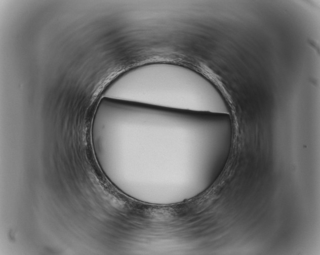 X0000103140106200808221113