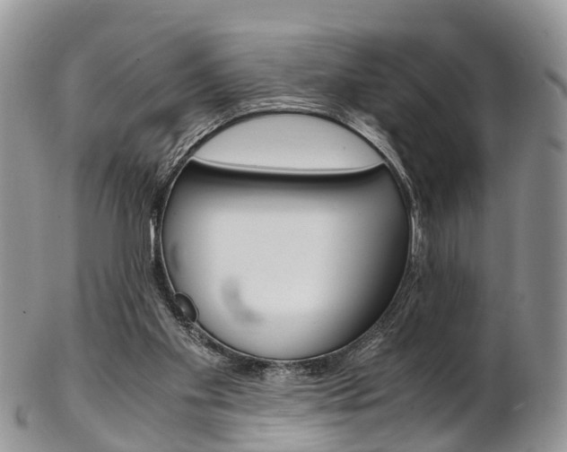 X0000103140109200808221113