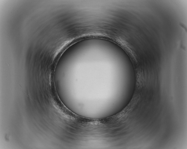 X0000103140112200808221113