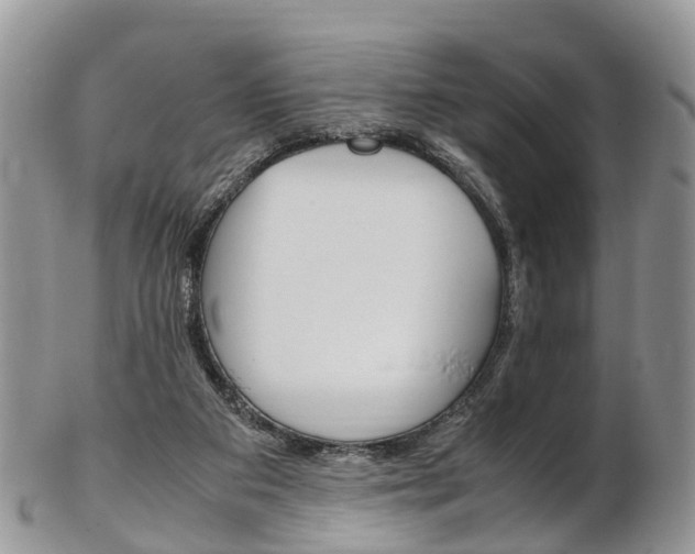 X0000103140113200808221113