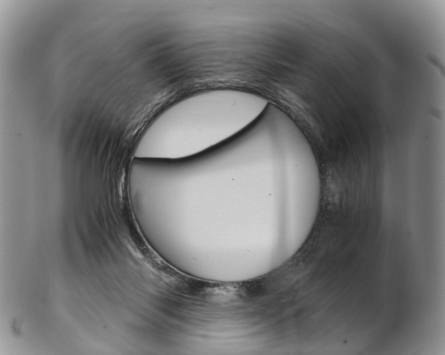 X0000103140118200808221113