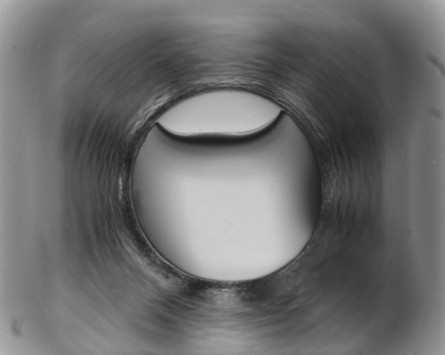 X0000103140120200808221113