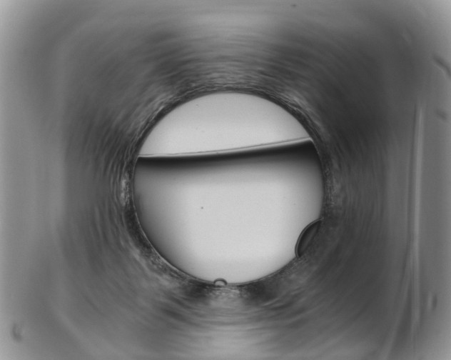 X0000103140123200808221113