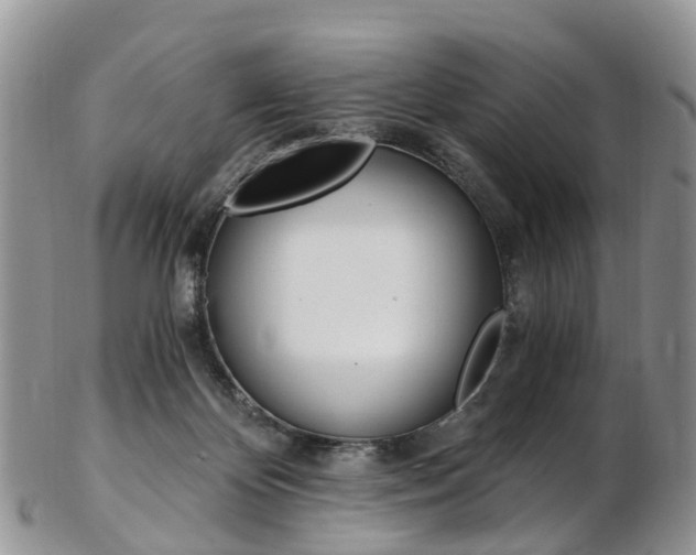 X0000103140124200808221113