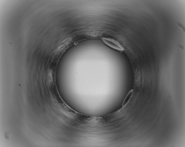 X0000103140128200808221113