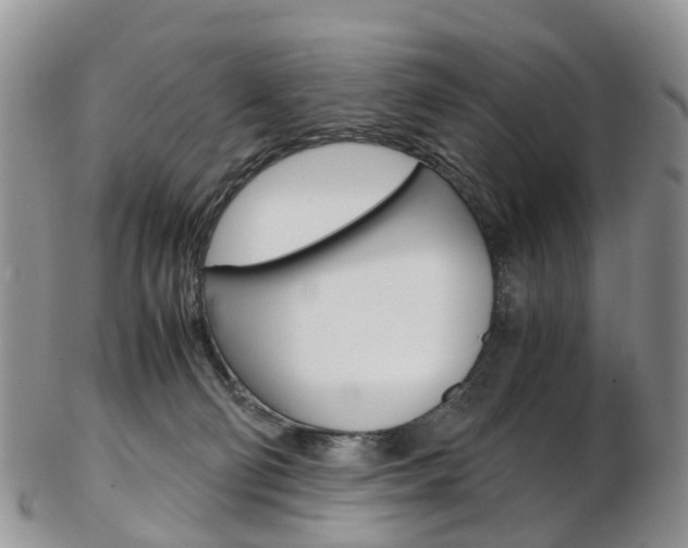 X0000103140130200808221113