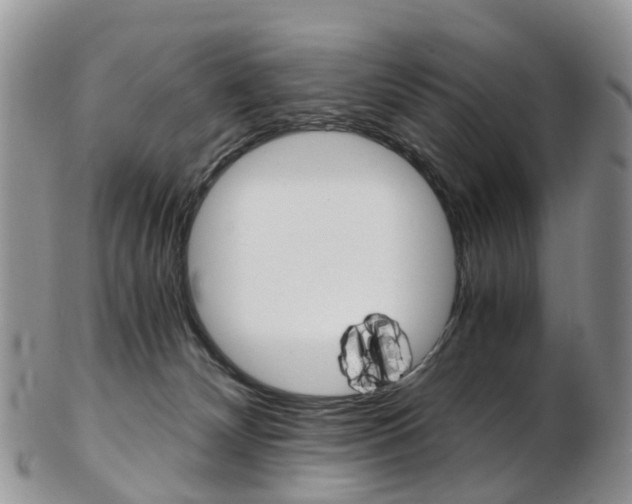 X0000103140132200808221113