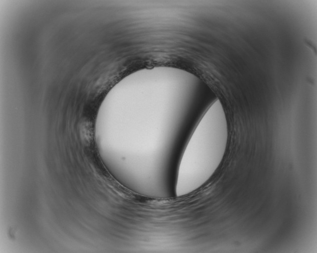 X0000103140135200808221113