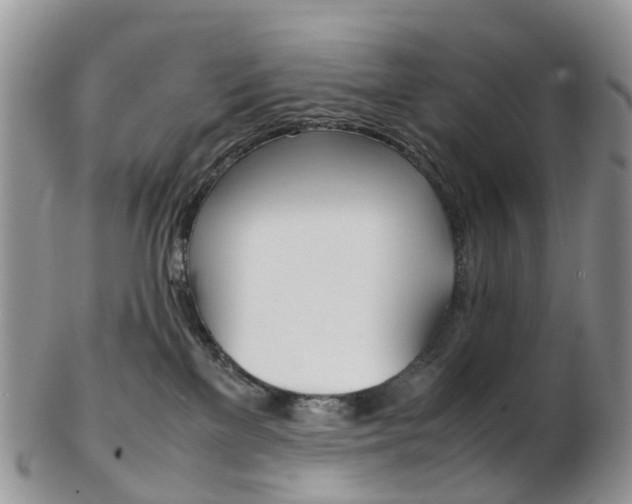 X0000103140137200808221113