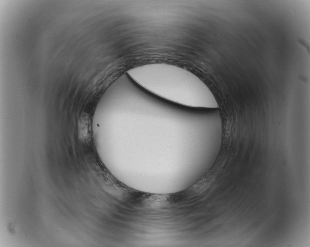 X0000103140138200808221113