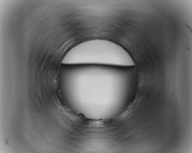 X0000103140140200808221113