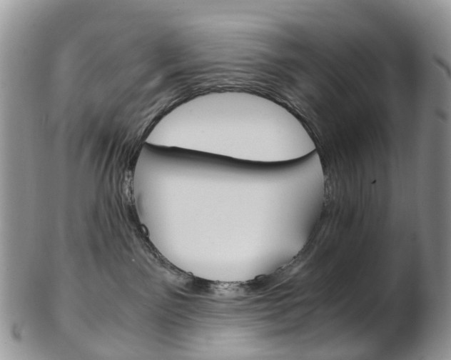 X0000103140141200808221113