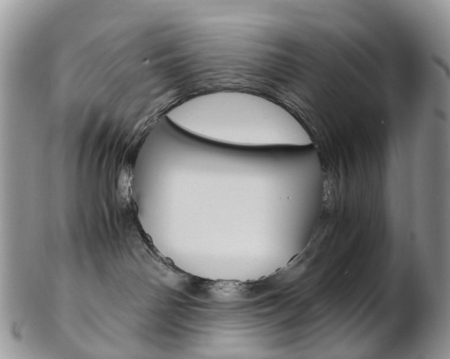 X0000103140142200808221113