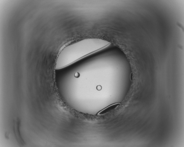 X0000103140144200808221113