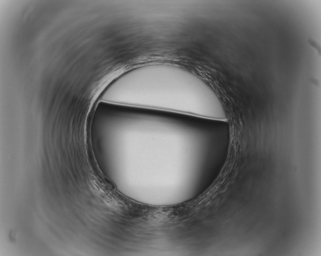 X0000103140148200808221112