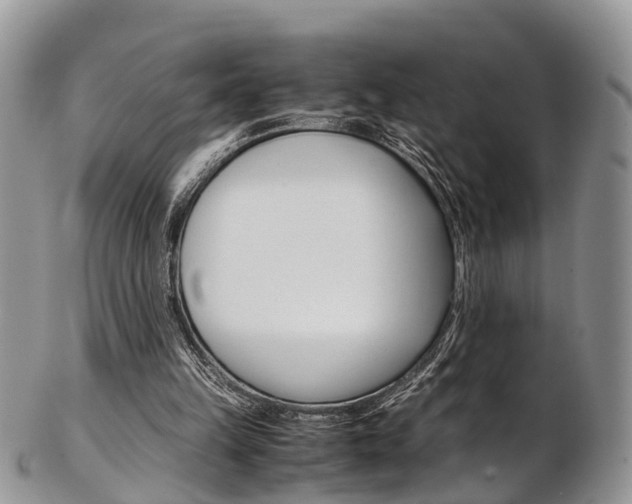 X0000103140149200808221112