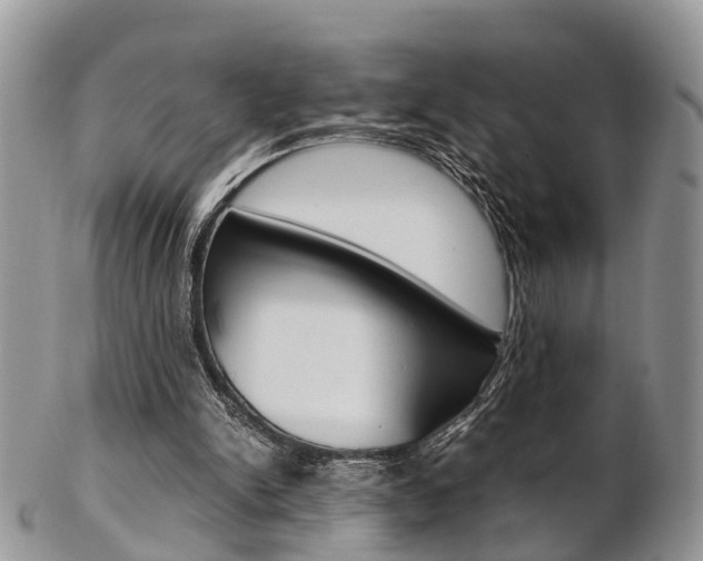 X0000103140150200808221112