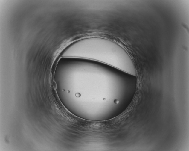 X0000103140152200808221112