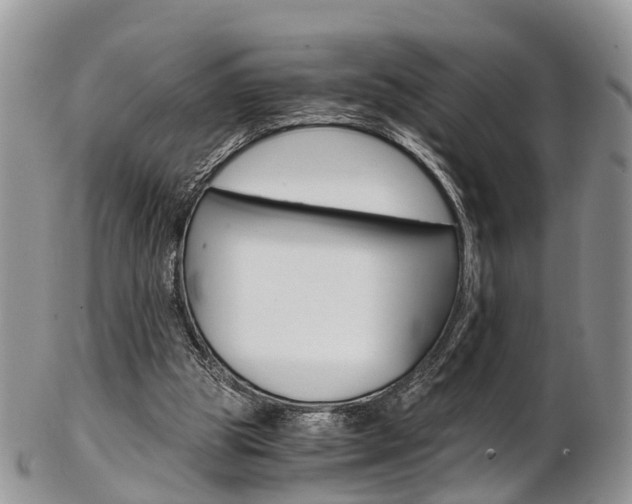 X0000103140153200808221112