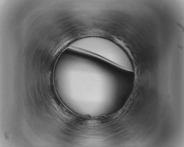 X0000103140154200808221112