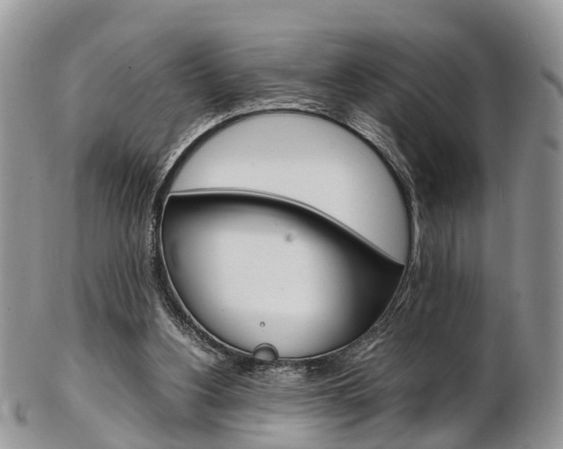 X0000103140156200808221112